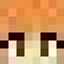 damsel_companion logo