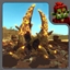 Skarak-base logo