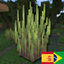 Wetland whimsy PTBR/SPANISH logo