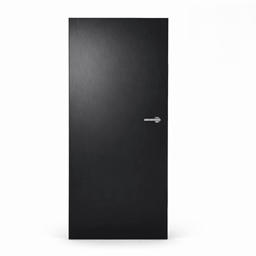Invisible Door S project image