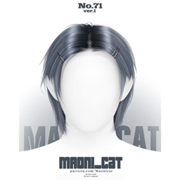 [Maoni_cat]HAIR No.71 ver.1 project image