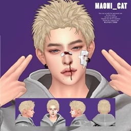 [Maoni_cat]Maxis HAIR No.3 project image