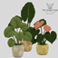 Petals Pots logo