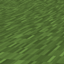 Animated Chat logo
