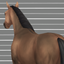 Horse Primitive Back Line Marking logo
