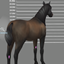 Horse Chestnuts logo