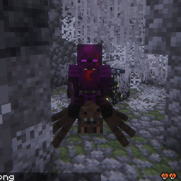 Spider Eggs And Breeding