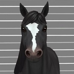 Horse Face Markings Part 3 logo