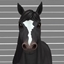 Horse Face Markings Part 3 logo