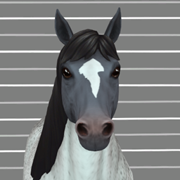 Horse Face Markings Part 4 logo