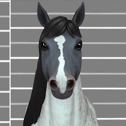 Horse Face Markings Part 5 logo