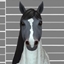 Horse Face Markings Part 5 logo