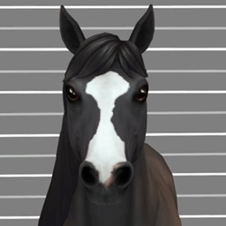 Horse Face Markings Part 1 logo