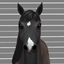 Horse Face Markings Part 2 logo