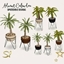 '23 Advent Calendar - Day 16 🎅🎁 - Large Plants 🍀☘️🍃🌿 logo