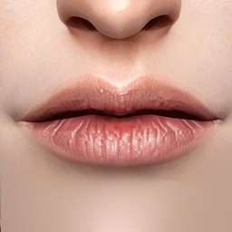 Kaleido_Lip_N01 logo
