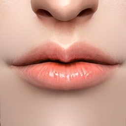 Kaleido_Lip_N02 logo