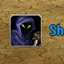 Skillflash logo