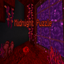 Midnight Puzzle Escape Map Demo logo