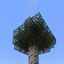 The Spooky Birch logo