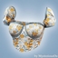 Blooming corset blouse logo