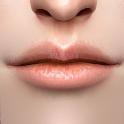 Kaleido_Lip_N04 logo