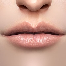 Kaleido_Lip_N05 logo
