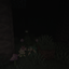 XwXSpookycraftXwX logo