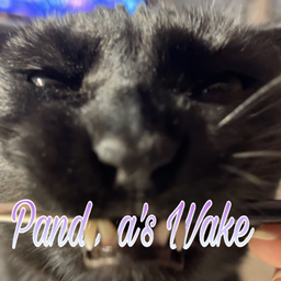 Pandora's Wake project image