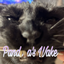 Pandora's Wake logo