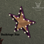Backstage Star logo