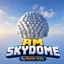 AM. SkyDome logo