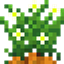 Re-fined crops logo
