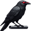Crow Bar logo