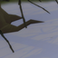Snow Terrain logo