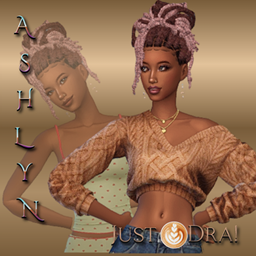 Ashlyn Perkins project image