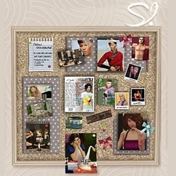Jules Cork board decor project image