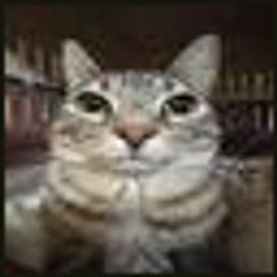 Staring cat painting logo