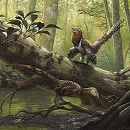 WindowsCreator's Dinosaur Pack project image