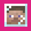 Merb's Glass Head Skins logo