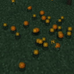 Rainbow Xp Orbs project image