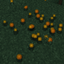 Rainbow Xp Orbs logo