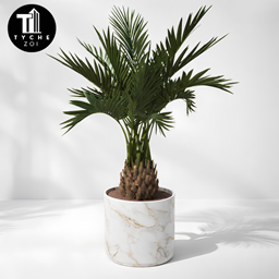 Coco Palm in Pot project image