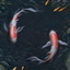 The Local Pond logo