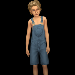 Ryan dungarees project image