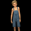 Ryan dungarees logo