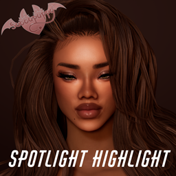 Spotlight Highlight project image