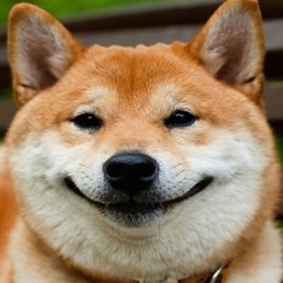 Modpack of Modpacks project image