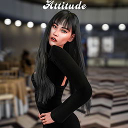 Attitude project image