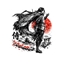 The World of Cultivation VN logo
